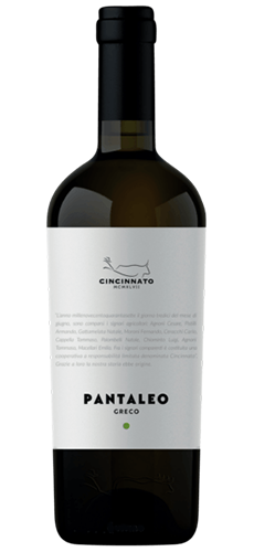 Cincinnato Pantaleo Greco Lazio Bianco 2022