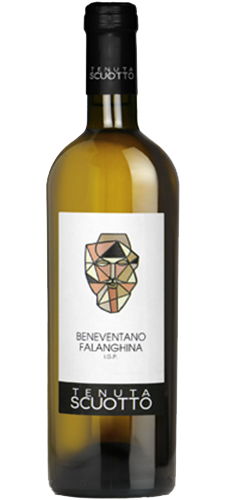 Tenuta Scuotto Campania Falanghina 2022